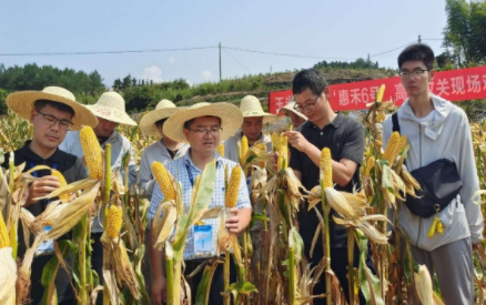 浙江发布《科技特派员服务和管理规范》省级地方标准