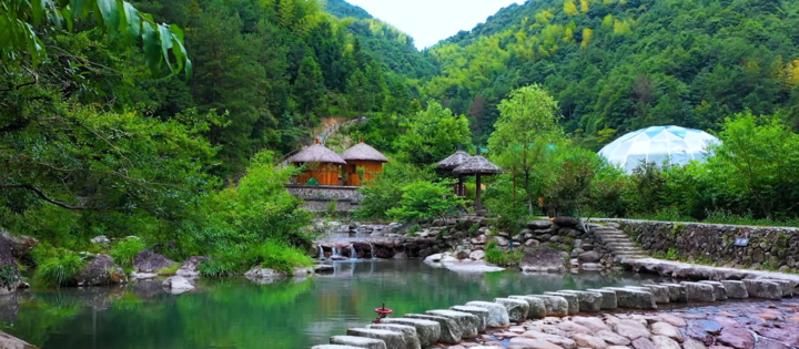 记者蹲点泰顺大溪源蝴蝶谷，大山深处，邂逅蝴蝶经济