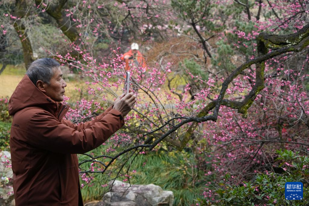 杭州：灵峰探梅