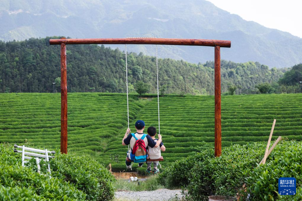 浙江建德：千亩茶园打造假日消费新场景