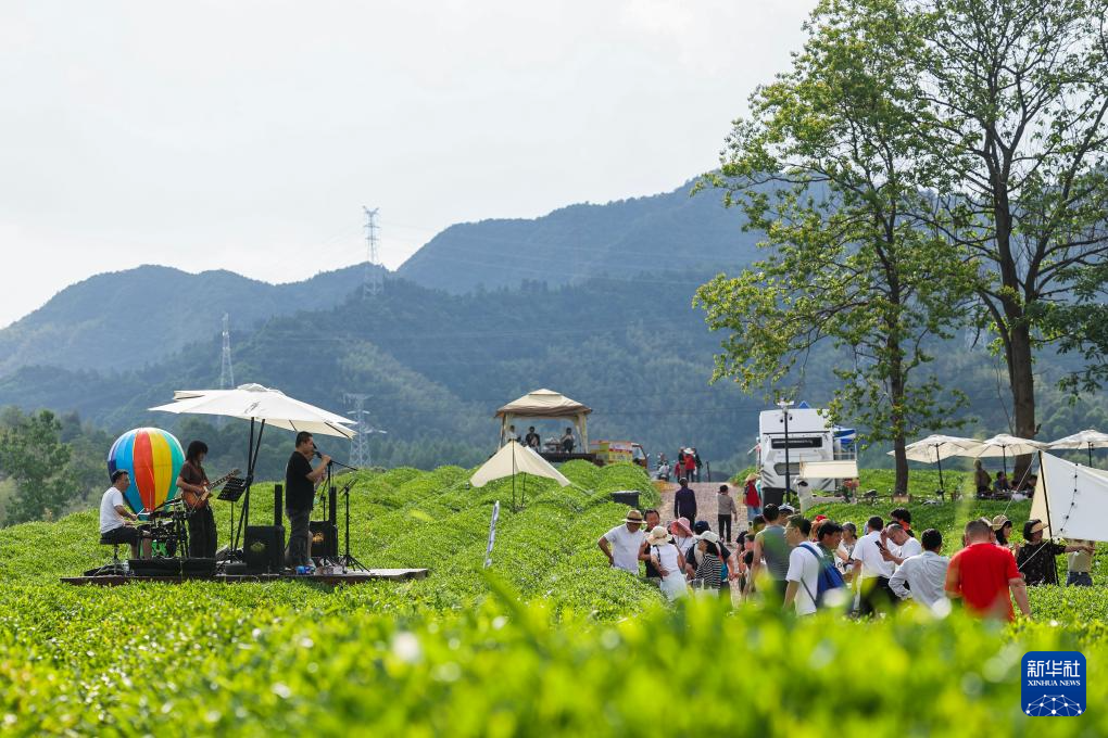 浙江建德：千亩茶园打造假日消费新场景