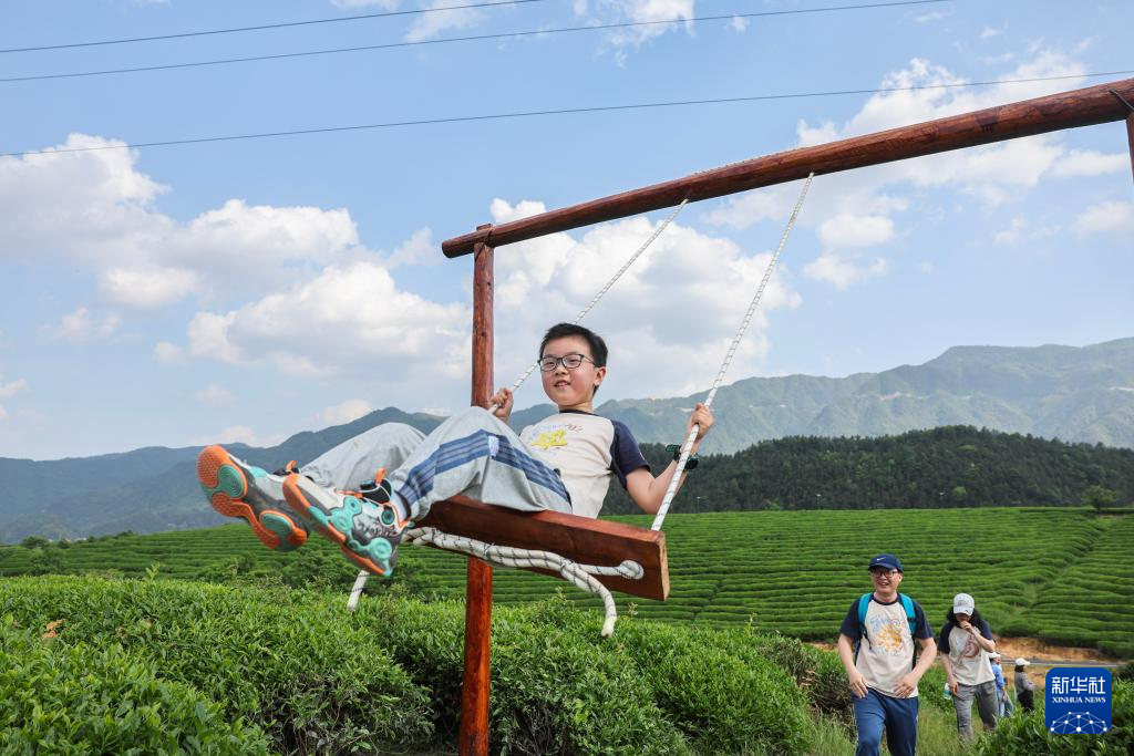 浙江建德：千亩茶园打造假日消费新场景