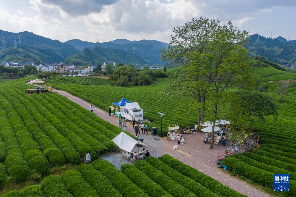浙江建德：千亩茶园打造假日消费新场景