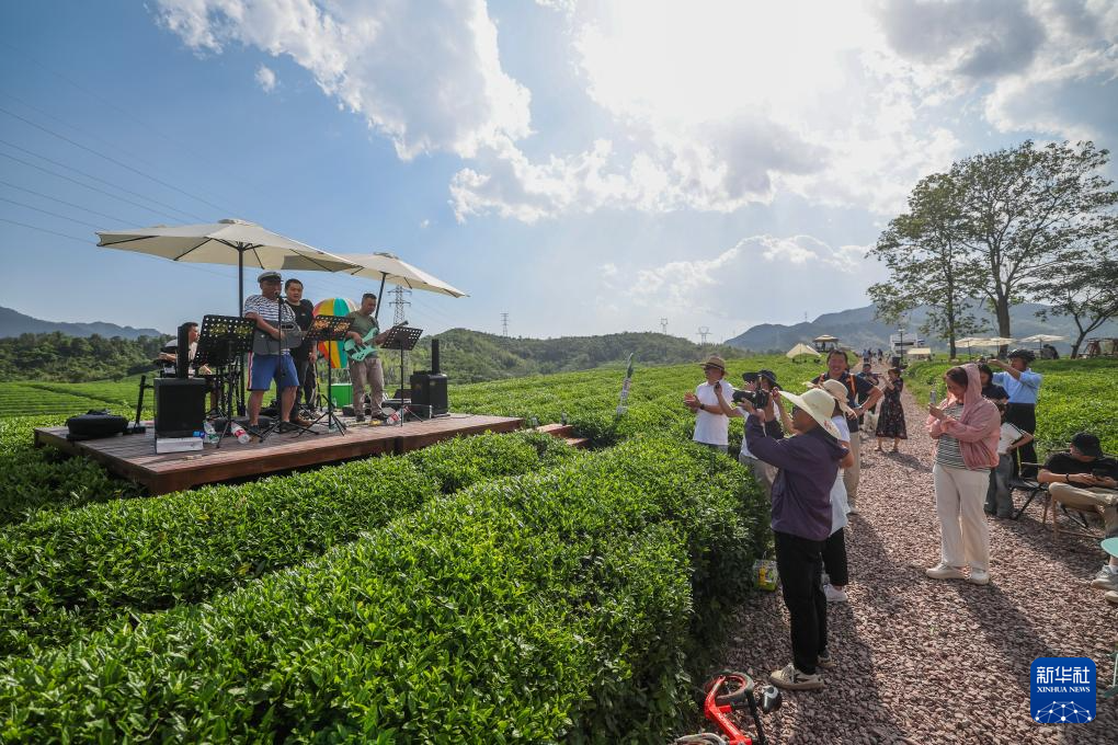 浙江建德：千亩茶园打造假日消费新场景