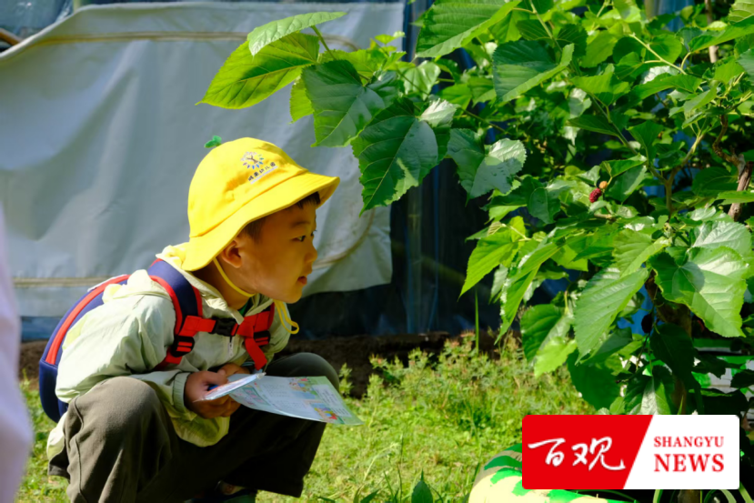 当母亲节遇上伙伴节：大班萌娃探秘小学成长密码……