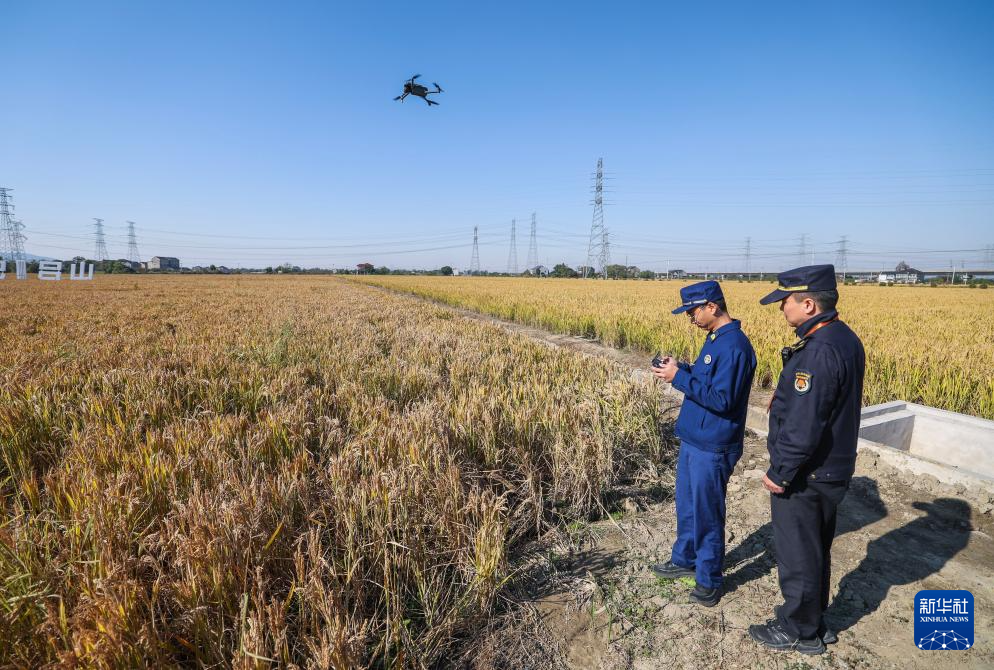 浙江长兴：推进和美乡村建设
