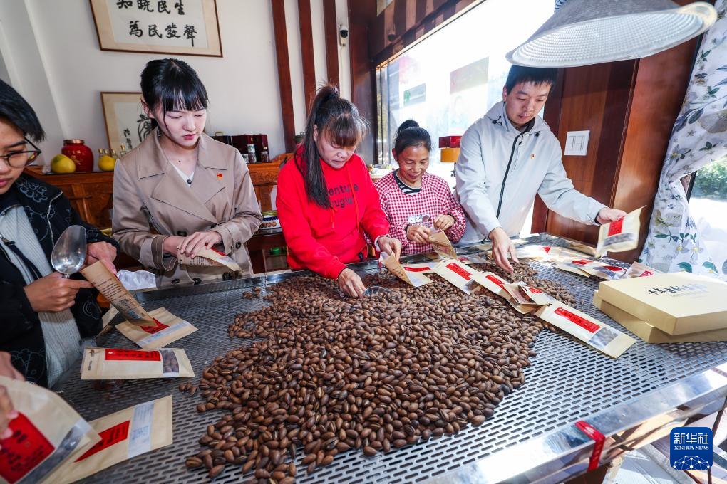 浙江诸暨：党建引领打造香榧之乡共富产业链