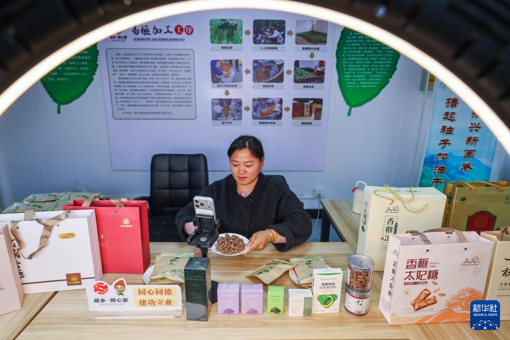 浙江诸暨：党建引领打造香榧之乡共富产业链