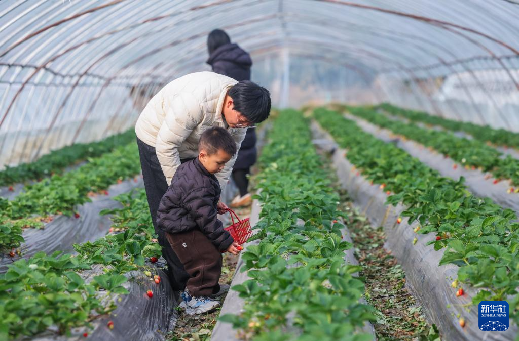 浙江长兴：发展特色农业助力乡村振兴