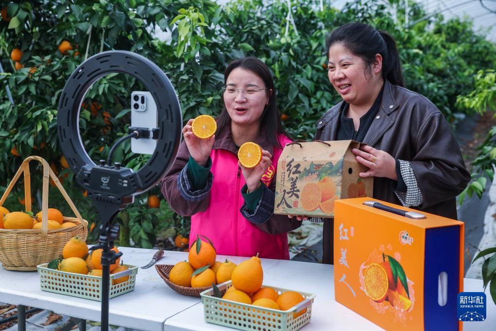 浙江长兴：发展特色农业助力乡村振兴