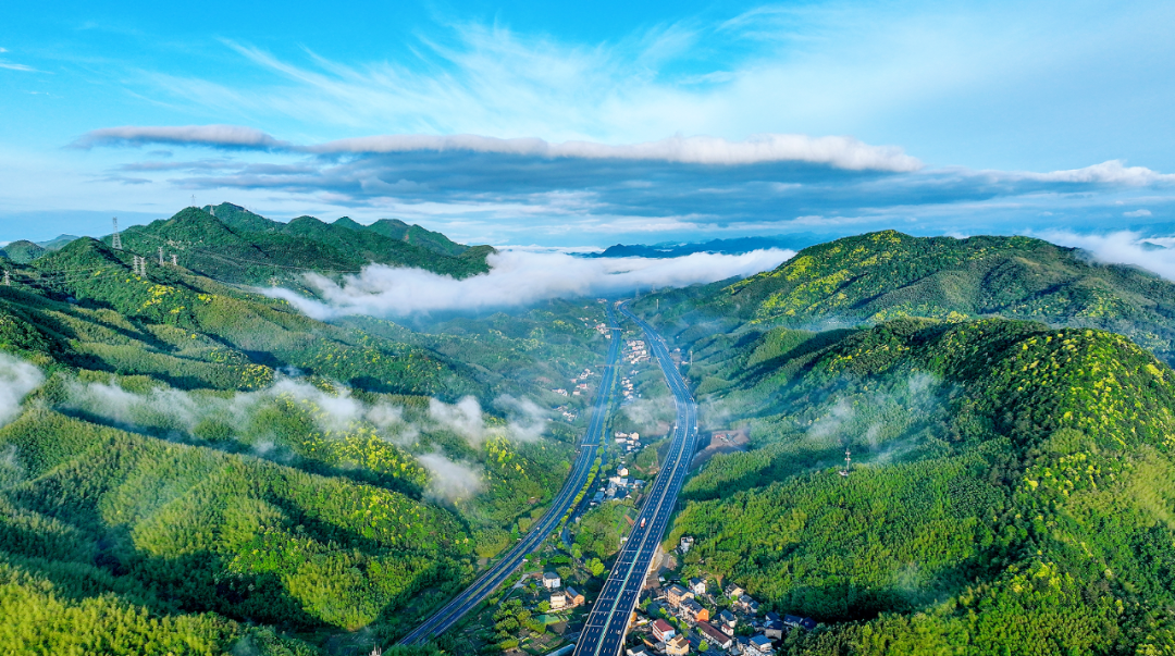 第四年的优秀答卷,山水间的临安“幸福算法”|天目观察