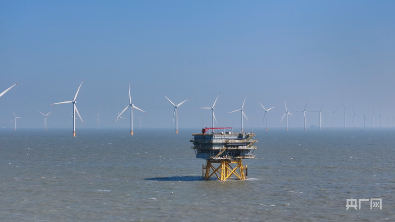 行进的海岸线｜海上风电场“种出”绿色大森林 中国海上风电连续五年居全球首位