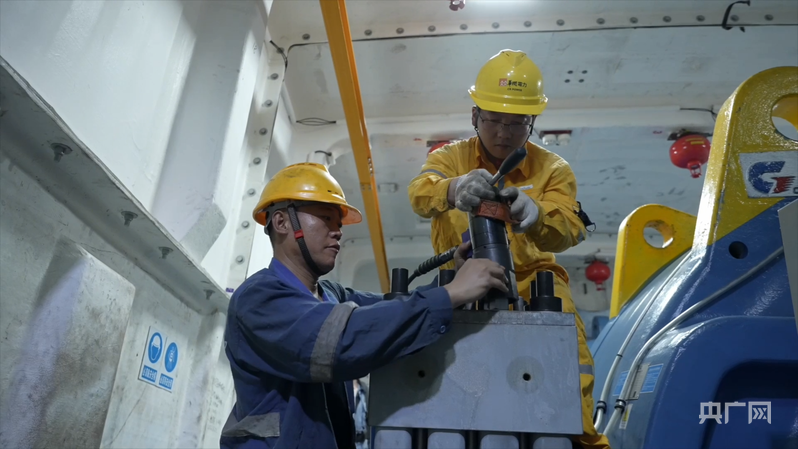 行进的海岸线｜海上风电场“种出”绿色大森林 中国海上风电连续五年居全球首位