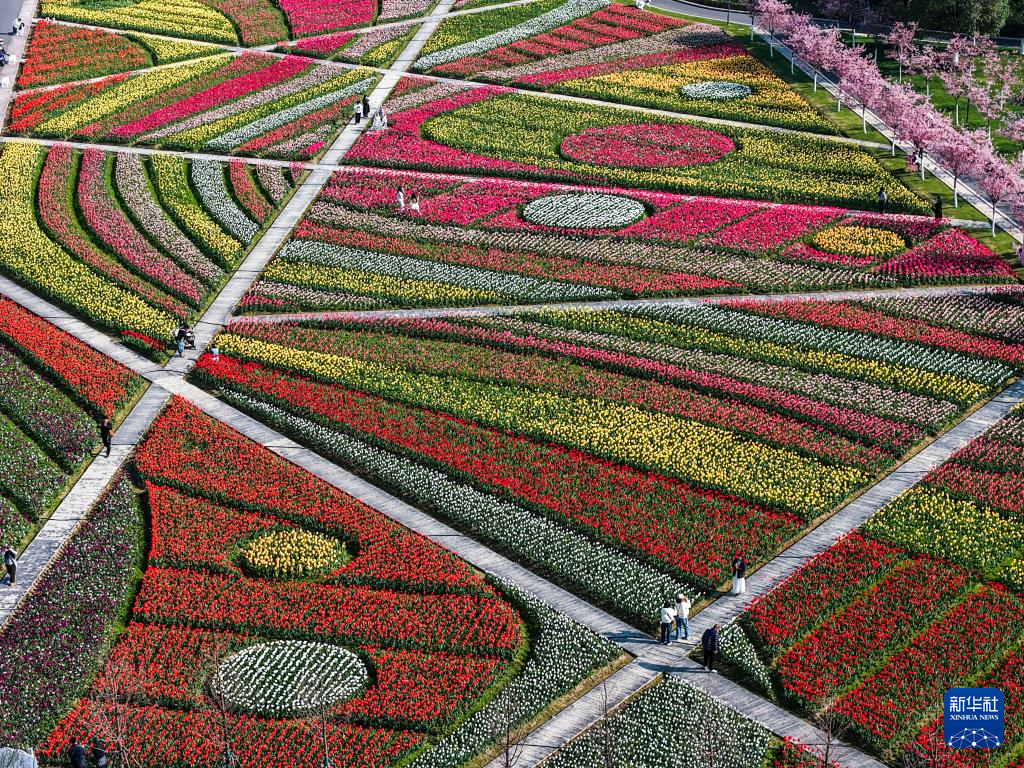 春日花田百花争艳