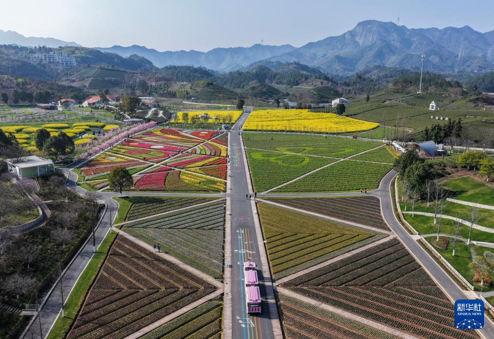 春日花田百花争艳