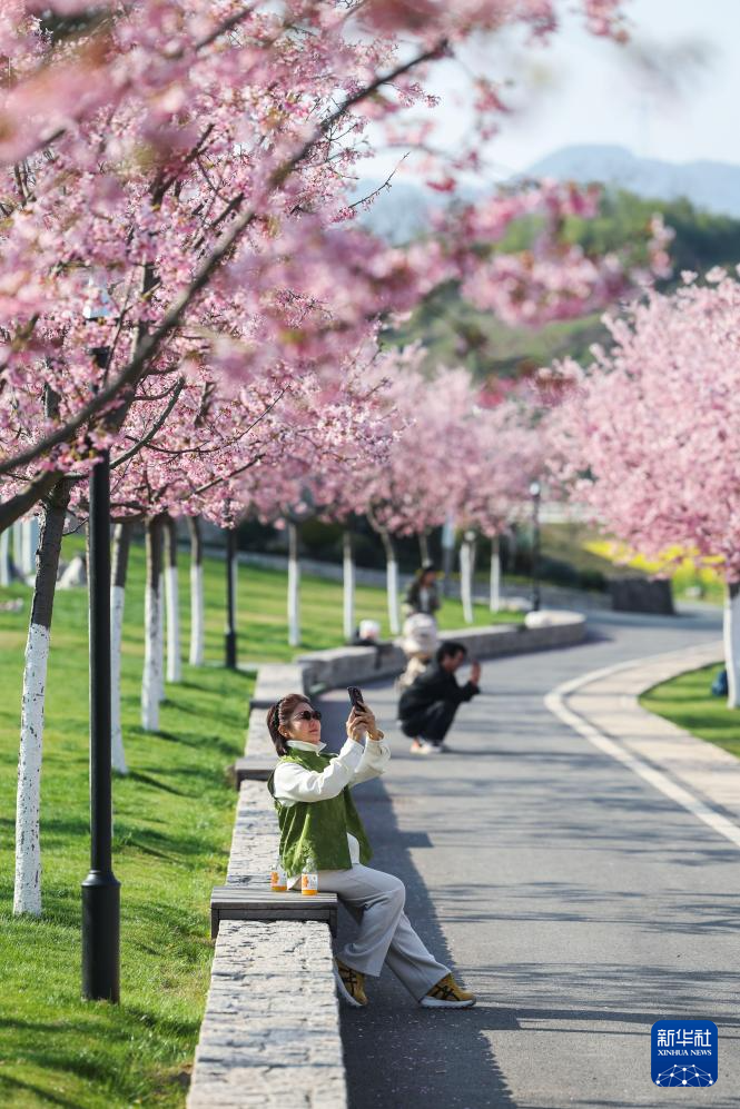 春日花田百花争艳