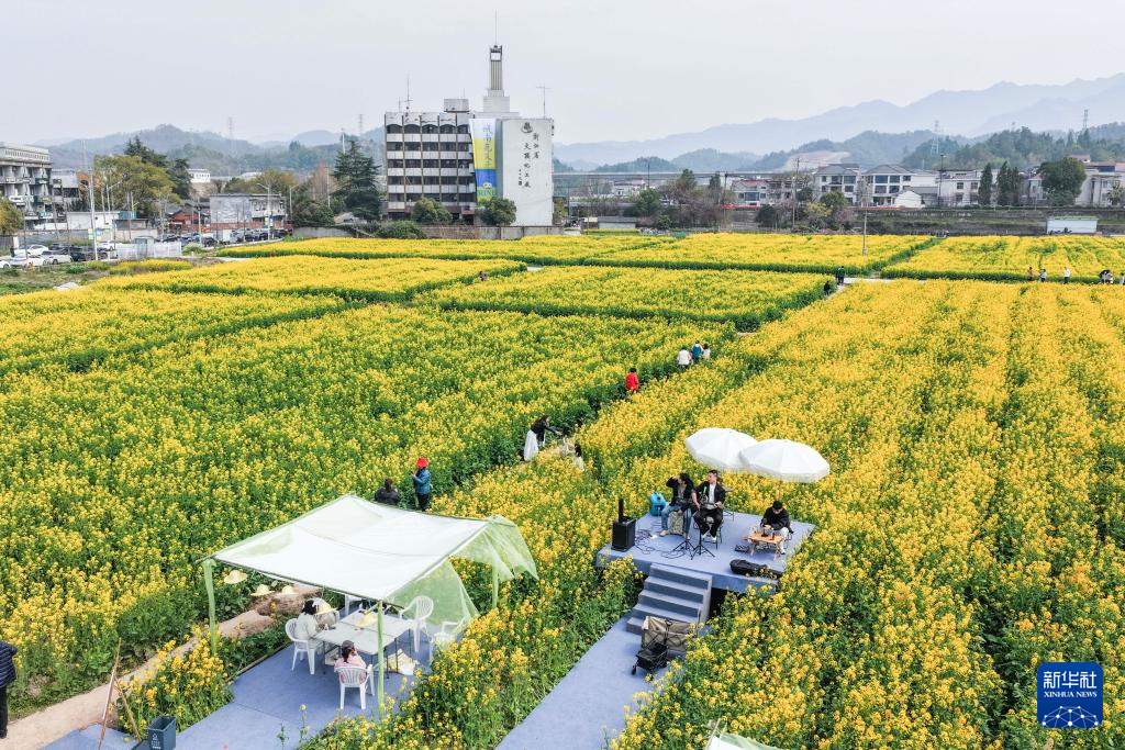 浙江建德:“以花为媒”释放“春日经济”消费新活力