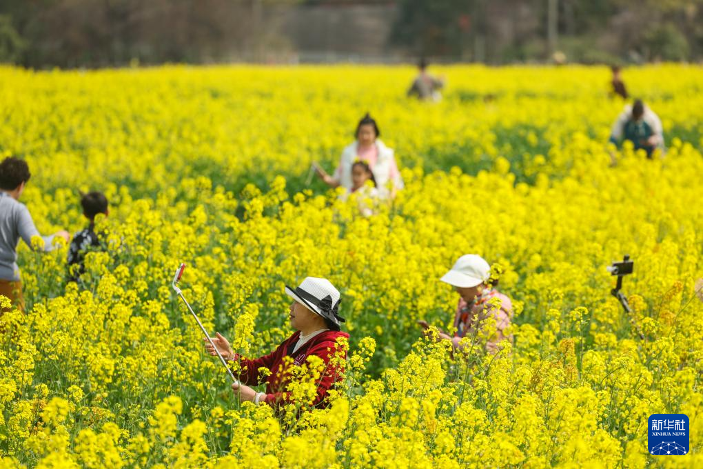 浙江建德:“以花为媒”释放“春日经济”消费新活力