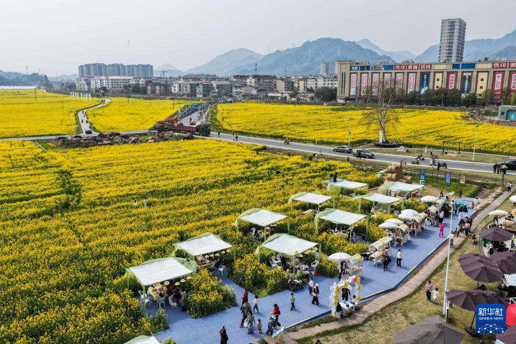 浙江建德:“以花为媒”释放“春日经济”消费新活力
