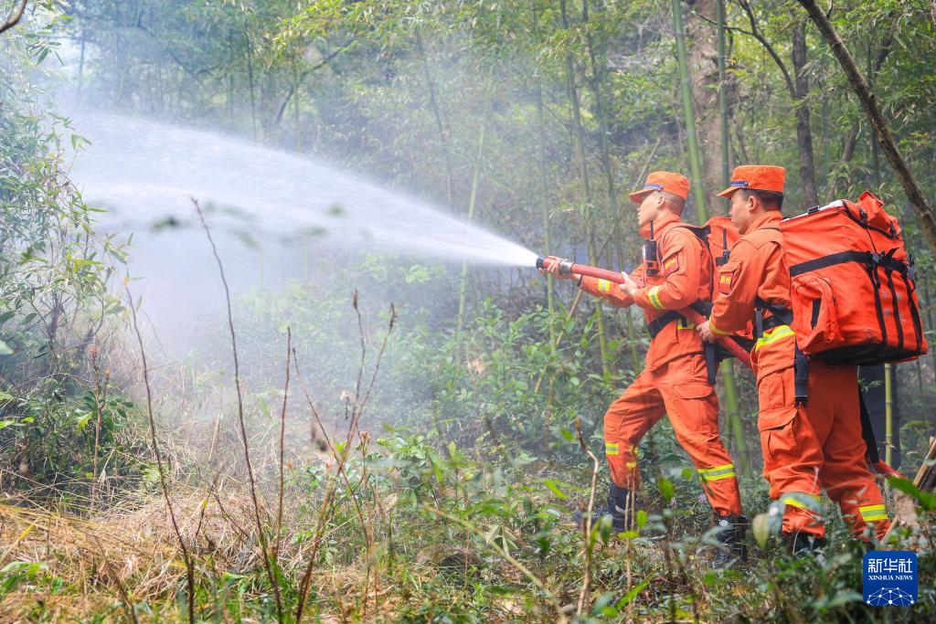 浙江:多措并举 筑牢森林“防火墙”
