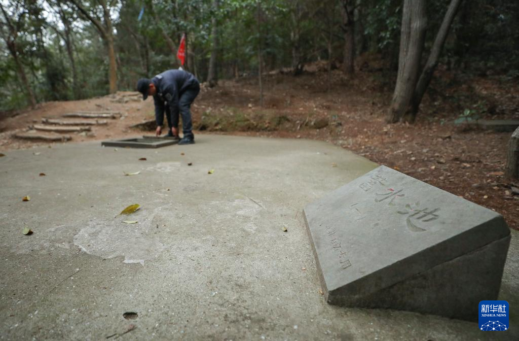 浙江:多措并举 筑牢森林“防火墙”