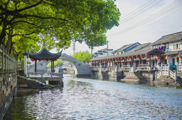 秀洲!首夺金鼎!蝉联全省优秀 秀洲!首夺金鼎!蝉联全省优秀