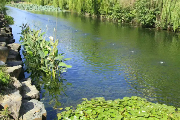 秀洲!首夺金鼎!蝉联全省优秀 秀洲!首夺金鼎!蝉联全省优秀