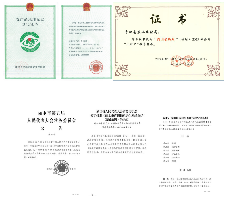 种了1300年的丽水青田稻鱼,藏着惊动世界的秘密? image.png
